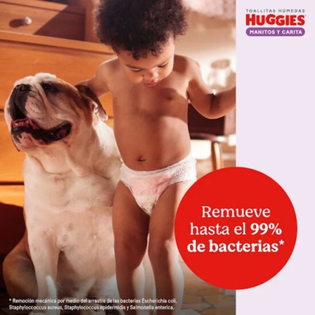 Tile 1 Elimina hasta el 99 de las bacterias